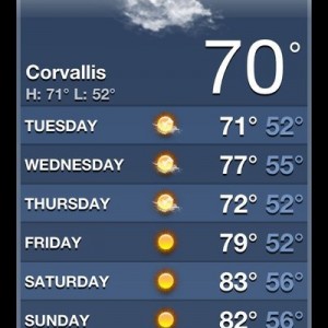 Quit complaining about the heat. I'd take it over this cloudy and rain