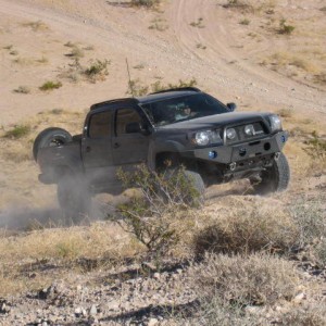 apex run