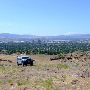 My Taco & My City