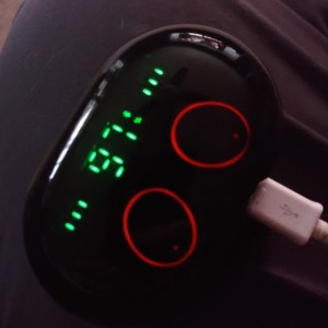 liveDA07f1.jpg