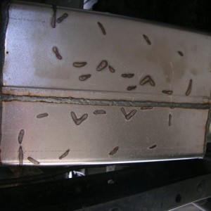 Picture4