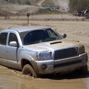 mud36