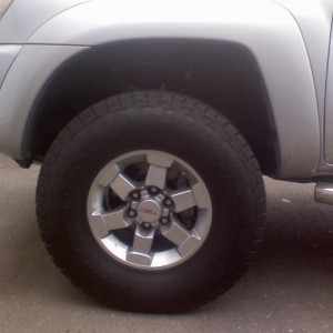 Picture5