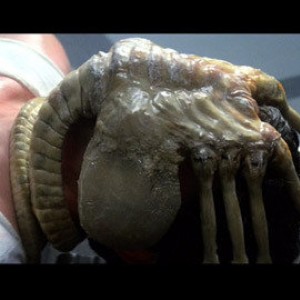 alien_facehugger_001_1197062102