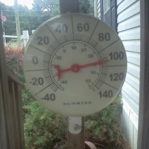 in the shade!. . . 45% humidity and a heat index of 117 degrees :eek: