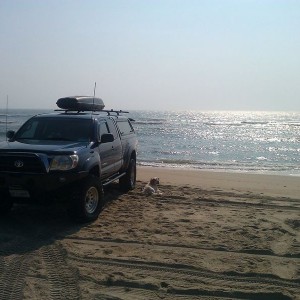 Not too warm out here.....:)