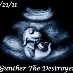 GuntherUltrasound
