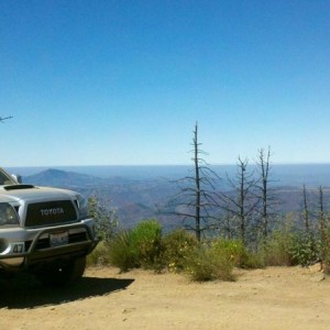 Trail run