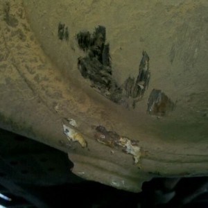 Yep I need rear diff armor small little ding in the rear diff. Sent via Dro