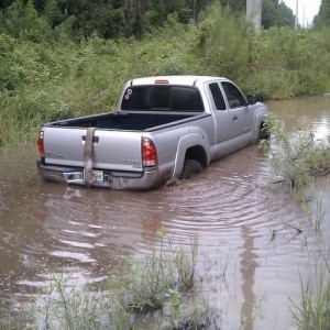 Having fun in my Taco