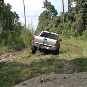 Having fun with my Taco