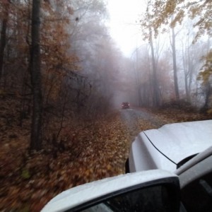 Foggy descent