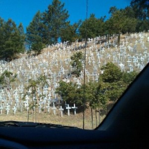 Hillside in lafayette, CA. Crosses for all the soldiers that lost their liv