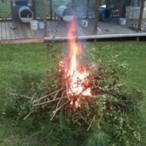 Fire fire fire!