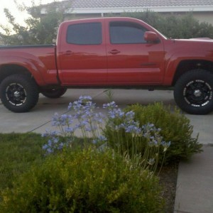 Looking pretty in the driveway