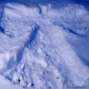 SnowAngel