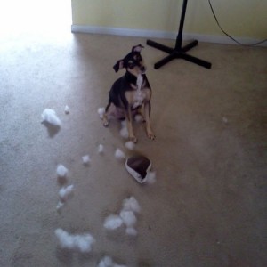 It wasn't me.....