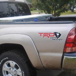 Tint and stuff