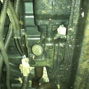 Again, anyone know whats leaking oil?