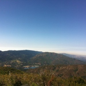 photo_342