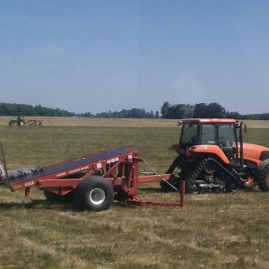 Tanners working hard today
