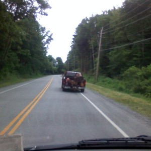 Half ton