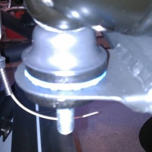Bumper Lights