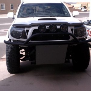 Bumper Lights