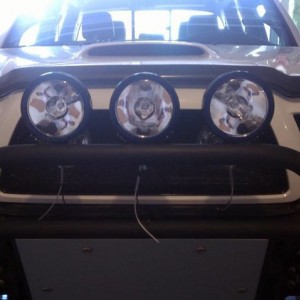 Bumper Lights