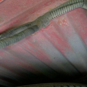 2011-07-29_11-25-08_751