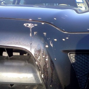 Damn tree sap. Any ideas?