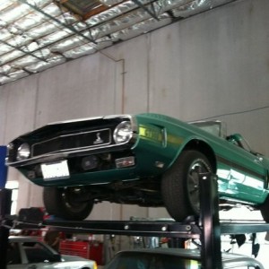 68 shelby gt 500 mustang