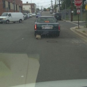 Followed this car for about 6 blocks till it turned.