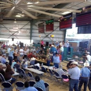 had to see but grand champion hog overall got $55 per pound.. she just made
