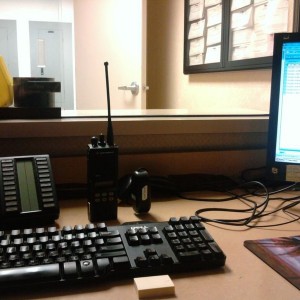 The view from my desk