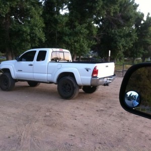 Another taco spotted!