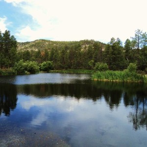 Crown King Run 7/30/11