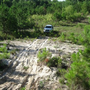 hill_climb11