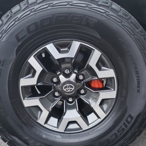 Painted Caliper/New Tires