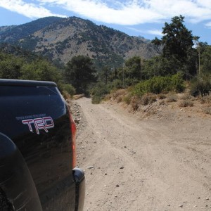 Gorman_008