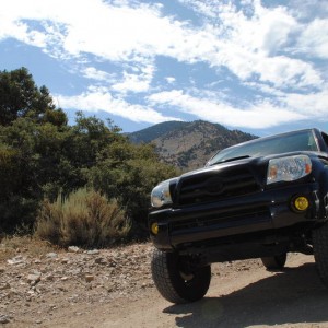 Gorman_006