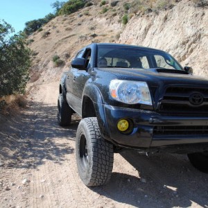 Gorman_039