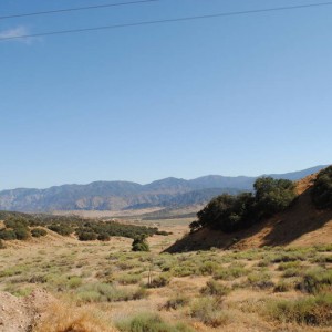 Gorman_040