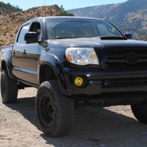 Gorman_017