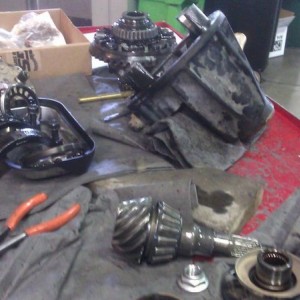 Rear in pieces