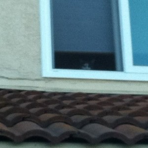 Creepin