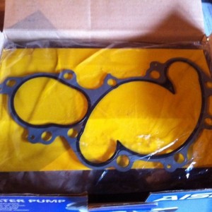 This or RTV? Or a little RTV with this gasket?
