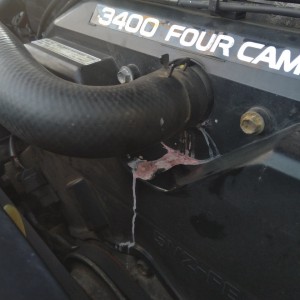 20191124 Upper Radiator Hose Leak