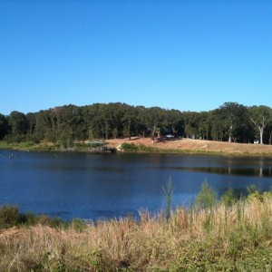 The cabin, 760+ acres