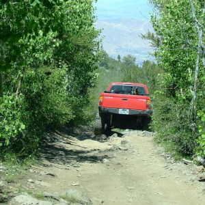 Hunter Lake Trail 06